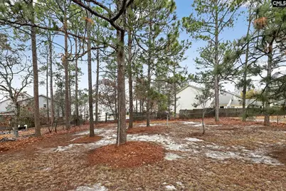 231 Pond Ridge Road E, Columbia, SC 29223 - Photo 33