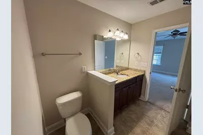 238 Dawsons Park Drive, Lexington, SC 29072 - Photo 13