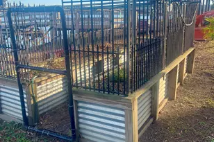 387 Dutchman Ln, Winnsboro, SC 29180 - Photo 15