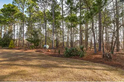 121 Lame Horse Road, Columbia, SC 29223 - Photo 35