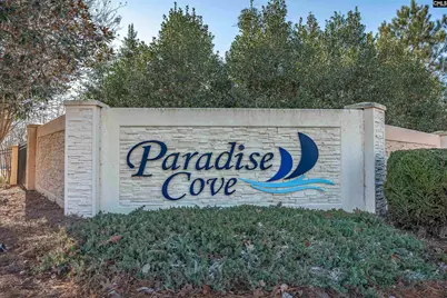 348 Amalfi Drive, Chapin, SC 29036 - Photo 37