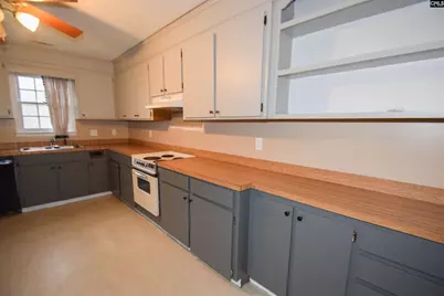 509 Thyme Drive, Lexington, SC 29073 - Photo 9