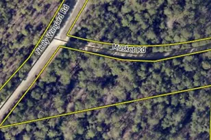 Tbd Neely Wingard At Musket Rd, Gilbert, SC 29054 - Photo 1