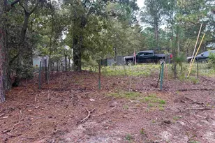 1100 Lassiter Jacob Rd, Eastover, SC 29044 - Photo 17