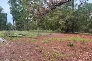 1100 Lassiter Jacob Rd, Eastover, SC 29044 - Photo 19