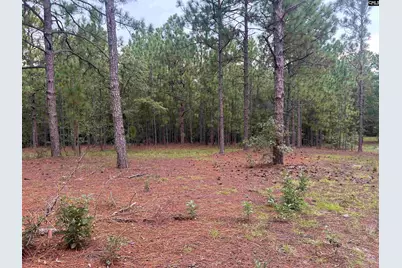 1100 Lassiter Jacob Rd, Eastover, SC 29044 - Photo 13