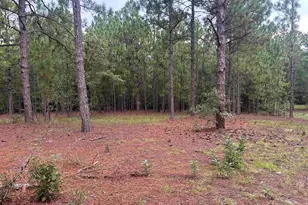 1100 Lassiter Jacob Rd, Eastover, SC 29044 - Photo 13