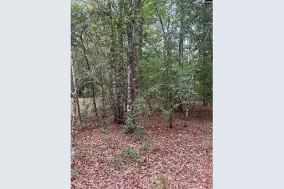 1100 Lassiter Jacob Rd, Eastover, SC 29044 - Photo 21