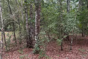 1100 Lassiter Jacob Rd, Eastover, SC 29044 - Photo 21