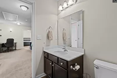 108 Pennsylvania Court, Chapin, SC 29036 - Photo 29