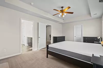 108 Pennsylvania Court, Chapin, SC 29036 - Photo 19