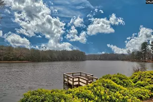 511 Lightning Bug, Lexington, SC 29072 - Photo 43