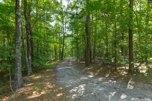 730 Stone Ridge Rd, Ridgeway, SC 29130 - Photo 55