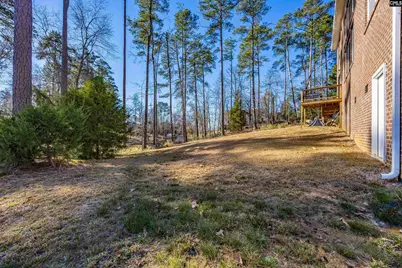 509 Links Pointe Court, Chapin, SC 29036 - Photo 17