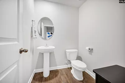 244 Rushton Drive, Chapin, SC 29036 - Photo 17