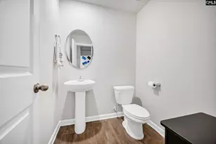 244 Rushton Dr, Chapin, SC 29036 - Photo 17