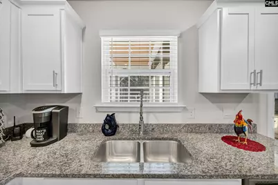 244 Rushton Drive, Chapin, SC 29036 - Photo 11