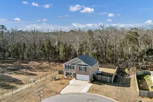 244 Rushton Dr, Chapin, SC 29036 - Photo 47