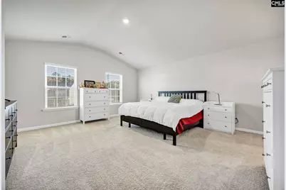 244 Rushton Drive, Chapin, SC 29036 - Photo 19