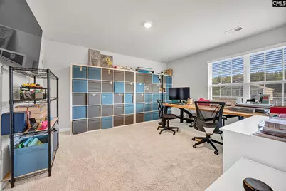 244 Rushton Drive, Chapin, SC 29036 - Photo 27