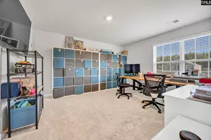 244 Rushton Dr, Chapin, SC 29036 - Photo 27