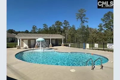 244 Rushton Drive, Chapin, SC 29036 - Photo 51