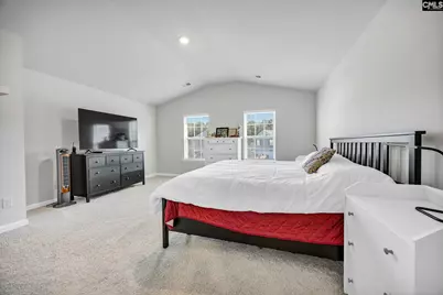 244 Rushton Drive, Chapin, SC 29036 - Photo 21