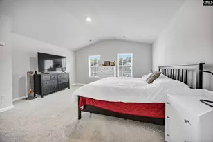 244 Rushton Dr, Chapin, SC 29036 - Photo 21