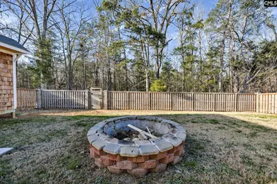 244 Rushton Drive, Chapin, SC 29036 - Photo 41