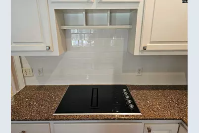 19 Wildeoak Court, Columbia, SC 29223 - Photo 19