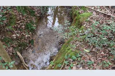 291 Big Timber Drive #16, Lexington, SC 29073 - Photo 7