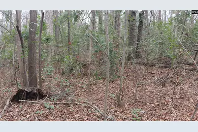 291 Big Timber Drive #16, Lexington, SC 29073 - Photo 3