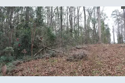 291 Big Timber Drive #16, Lexington, SC 29073 - Photo 5