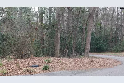 291 Big Timber Drive #16, Lexington, SC 29073 - Photo 13