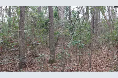 291 Big Timber Drive #16, Lexington, SC 29073 - Photo 11