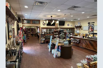 8291 Savannah Highway, Norway, SC 29113 - Photo 11