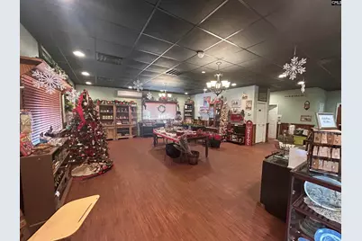 8291 Savannah Highway, Norway, SC 29113 - Photo 15