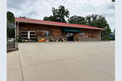 8291 Savannah Highway, Norway, SC 29113 - Photo 1
