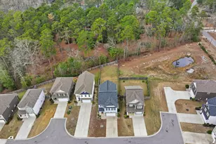 510 Red Taffy Wy, Lexington, SC 29073 - Photo 31