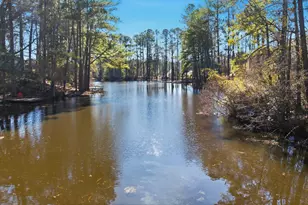 136 Silverstone Rd, Lexington, SC 29072 - Photo 41