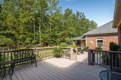 212 Renard Roux Court, Gilbert, SC 29054 - Photo 17