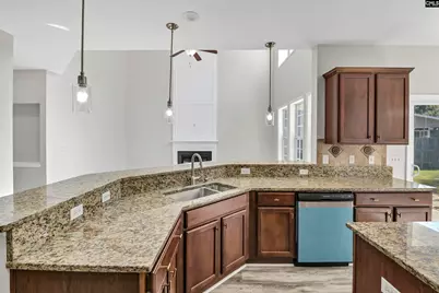 151 Mill House Lane, Lexington, SC 29072 - Photo 17