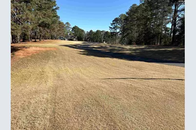 110 Lake Summit Drive, Chapin, SC 29036 - Photo 3