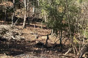 110 Lake Summit Dr, Chapin, SC 29036 - Photo 1