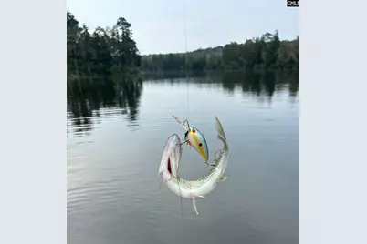 623 Rose Quartz Lane, Lexington, SC 29073 - Photo 31