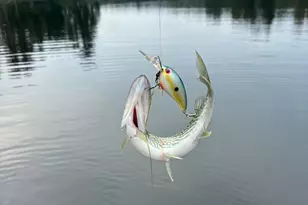 623 Rose Quartz Ln, Lexington, SC 29073 - Photo 31