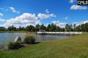 109 Spring Frost Dr, Lexington, SC 29072 - Photo 39