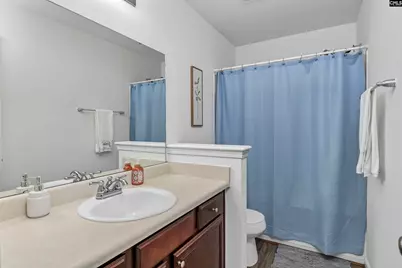 109 Spring Frost Drive, Lexington, SC 29072 - Photo 23