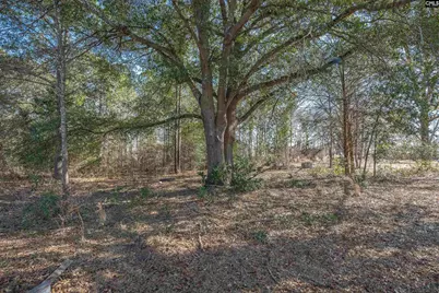 1114 West Street, Elgin, SC 29045 - Photo 31