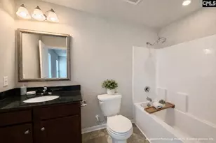 344 Summer Creek Dr, West Columbia, SC 29172 - Photo 9